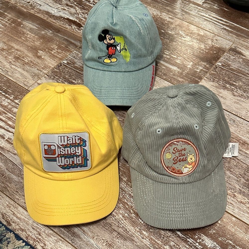 Lot of Disney Parks Hats